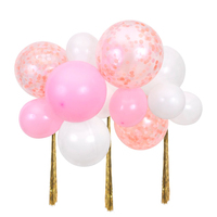 Pembe Bulut Balon Kit Balonlar