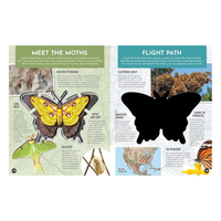 Inside Out Butterfly
