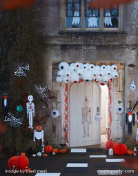 Halloween Örümcek Ağları Gizden Gelenler