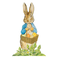 Peter Rabbit Yumurta Avı Kiti Gizden Gelenler