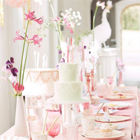 Prenses Cupcake Kit Gizden Gelenler
