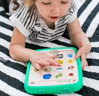 HapeHape Baby Einstein Magic Touch Dokunmatik Ahşap Tablet800853