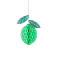 Meri MeriMeri Meri - Tropical Fruit Honeycomb Decorations - Tropikal Meyve Petek Süsleri - 7 Adet302541