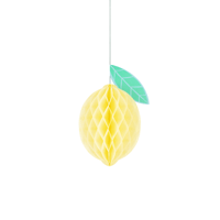 Meri MeriMeri Meri - Tropical Fruit Honeycomb Decorations - Tropikal Meyve Petek Süsleri - 7 Adet302541