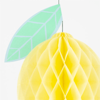 Meri MeriMeri Meri - Tropical Fruit Honeycomb Decorations - Tropikal Meyve Petek Süsleri - 7 Adet302541