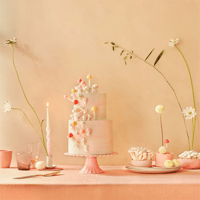 Meri Meri -  Rainbow Twisted Dipped Candles - Gökkuşağı Renkler Kıvrımlı Masa Mumları (8'li) Mumlar