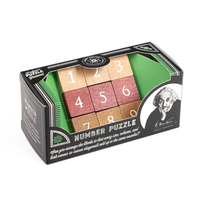 Professor PuzzleProfessor Puzzle - Zeka Oyunları - Mini Metal Bulmacalar DisplayEIN5227