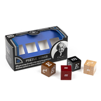 Professor PuzzleProfessor Puzzle - Zeka Oyunları - Mini Metal Bulmacalar DisplayEIN5227
