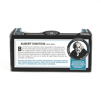 Professor PuzzleProfessor Puzzle - Zeka Oyunları - Mini Metal Bulmacalar DisplayEIN5227