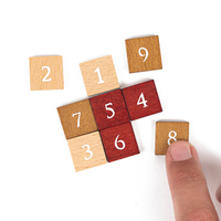 Professor PuzzleProfessor Puzzle - Zeka Oyunları - Mini Metal Bulmacalar DisplayEIN5227