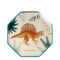 Dinozor Tabak Tabaklar