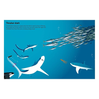 555 Sticker Fun - Sharks