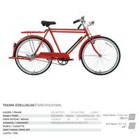 BİSAN ROADSTAR CLASSIC BİSİKLET