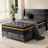 GENETİCS 3'LÜ SET