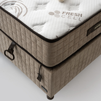 POFUDUK CALİFORNİA 3 LÜ SET