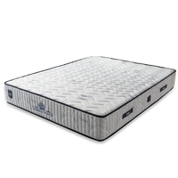 POFUDUK LUREX VİSCO 3 LÜ SET