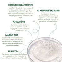 Saç&Vücut için Tam Bakım Seti | Şampuan + Serum + Krem
