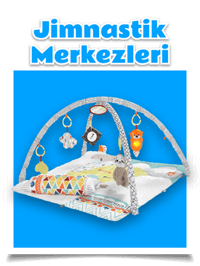 
	Toystop : Fisher Price - Sayfa 12
