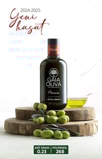 Gaia Oliva