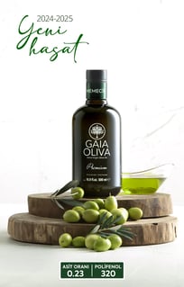 Gaia Oliva