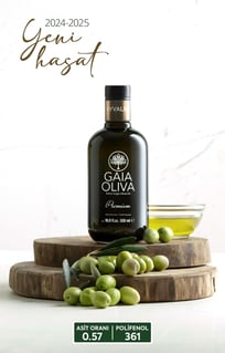 Gaia Oliva