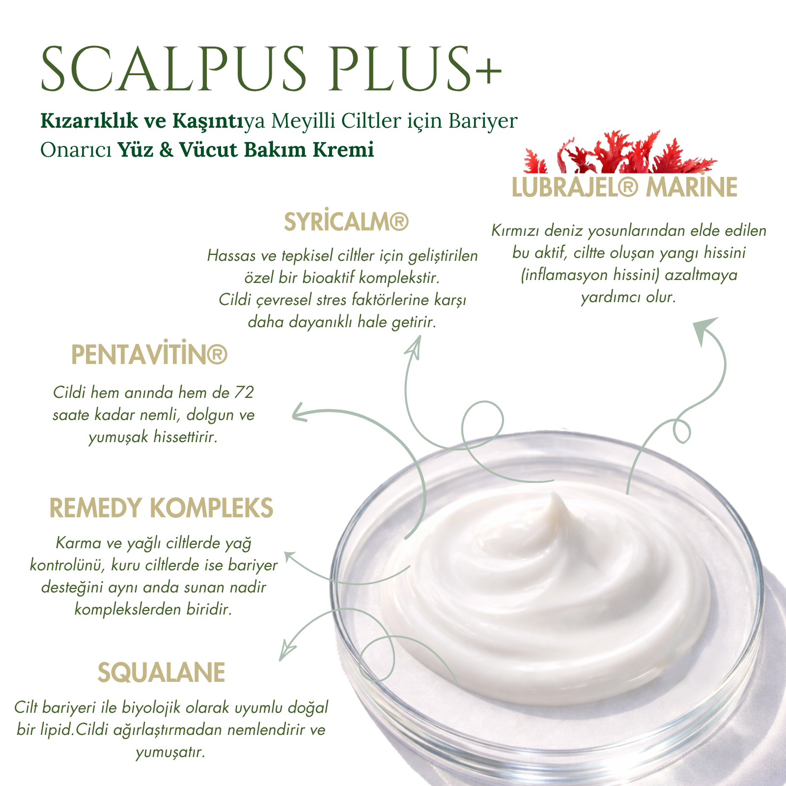SCALPUS 2'Lİ SET | Şampuan & Cilt Kremi