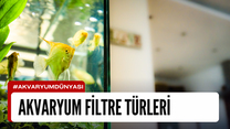Akvaryum Filtresi Türleri