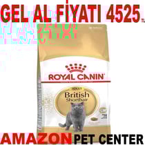 Royal Canin British Shorthair Kedi Maması 10 Kg 18345001 Amazon Pet Center