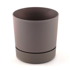 Begonya Saksı Krem 21cm