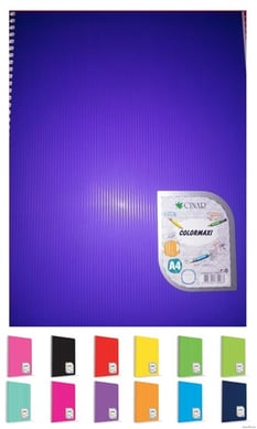 Çizgili Defter