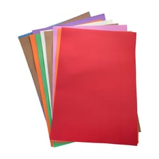 Eva Tabaka 10 lu 50x70 Karışık
