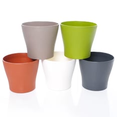 Poliwork Gardenya Kaktüs Saksı Pastel Mix 10,5