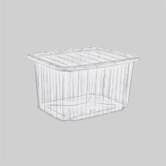 Poly Time Unıversal Kapaklı Kasa 30 Litre (Şeffaf) E-663