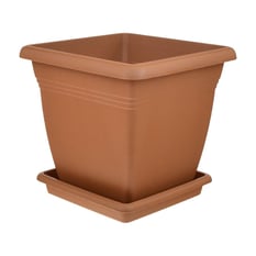 Saksı