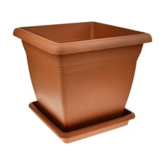 Saksı