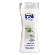 Şampuan