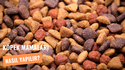 Köpek Mamaları Nasıl Yapılır?