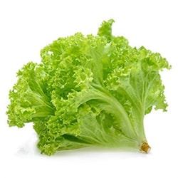 Kıvırcık (adet) Medel Greens