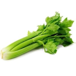 6lı Kereviz Sapı, Antalya (demet) Medel Greens