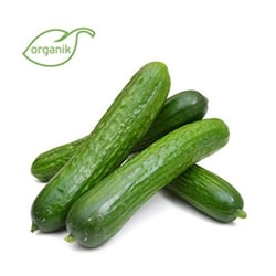 Organik Salatalık (500 gr) Ersöz Bahçesi - Afyon