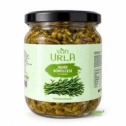 Deniz Börülcesi (425 cc) Von Urla