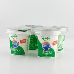 Laktozsuz Yoğurt (4x125 gr) Pınar