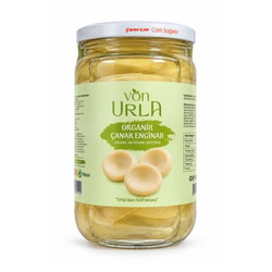 Organik Çanak Enginar (660 cc) Von Urla