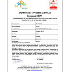 Organik ıspanak (500 gr) Salih Özkan Çiftliği-Bursa
