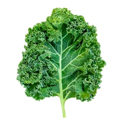 Organik Kale Yaprağı (150 gr) Ersöz Bahçesi - Afyon