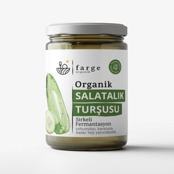 Organik Salatalık Turşusu (600 gr) Farge