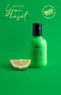 Bergamot Çeşnili 250 ml Natürel Sızma Zeytinyağı (Yeni Hasat)