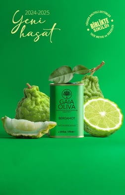 Bergamot Çeşnili 175 ml Natürel Sızma Zeytinyağı (Yeni Hasat)