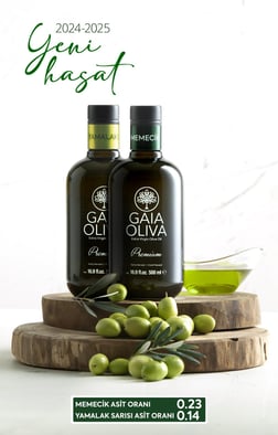 2li Premium Memecik ve Premium Yamalak Sarısı 500 ml Erken Hasat Natürel Sızma Zeytinyağı (Yeni Hasat)