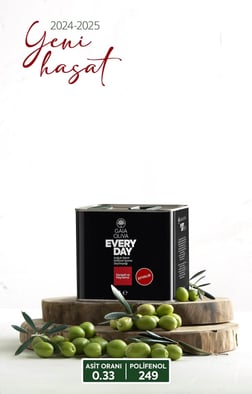 Everyday Ayvalık 2 lt Natürel Sızma Zeytinyağı (Yeni Hasat)